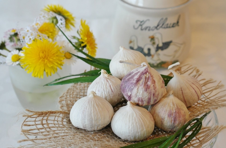 Bawang putih/pexels
