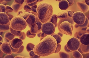 Anak Denada Derita Leukimia, Waspada Delapan Tanda Penyakit Ini
