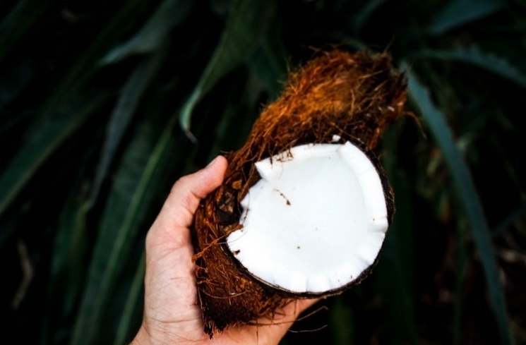 Kelapa/unsplash