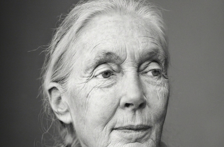 Jane Goodall