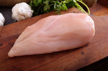 Stop Makan Ayam yang Memiliki Garis-garis Putih