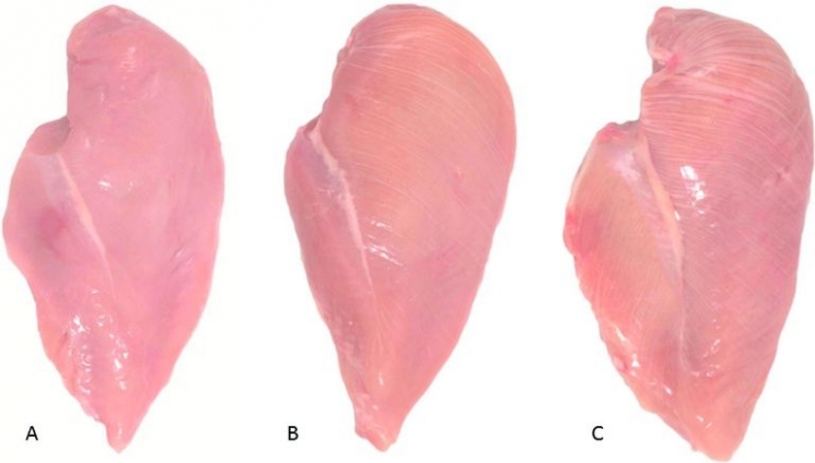 Daging ayam dari yang normal hingga yang memiliki banyak garis putih. (menshealth)