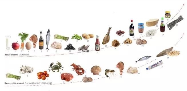 Ilustrasi makanan mengandung umami. (popsci.com)