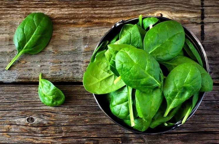 Sayur bayam (pexels)