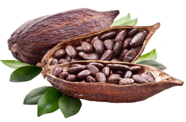 buah cokelat (Dried Foods Peru)
