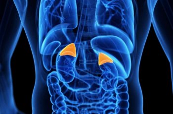 Hiperplasia Adrenal Kongenital, Kelainan Hormon yang Serang Anak