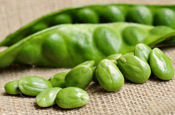 Jangan Keseringan Makan Petai Jika Tak Mau Alami Hal Ini