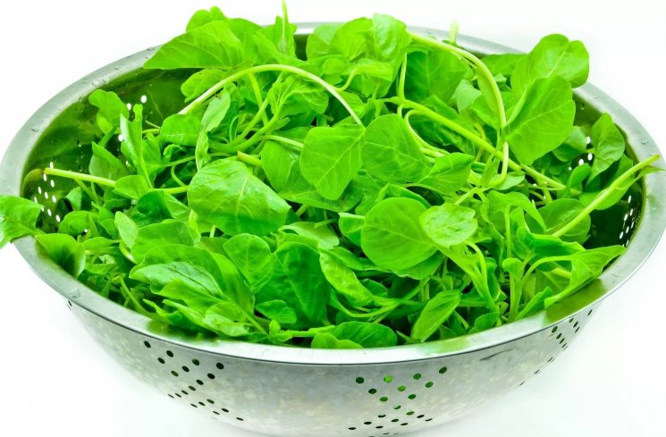 bayam (shutterstock)