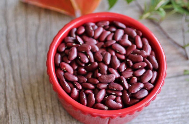 Kacang merah, sumber pati resisten. (iStock)