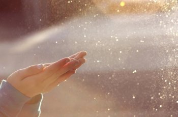 Petrichor Itu Menenangkan, Dari Mana Bau Ini Berasal?