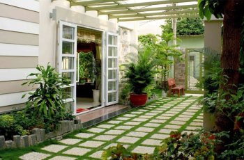 Studi: Punya Tanaman di Rumah Bisa Berdampak Positif pada Kesehatan Mental