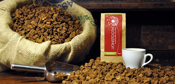 Kopi akar dandelion. (wikiwand.com)