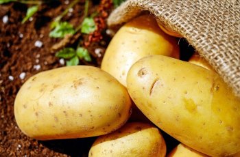 Tak Hanya Pisang, Berikut 5 Makanan Kaya Potasium yang Bisa Kamu Santap
