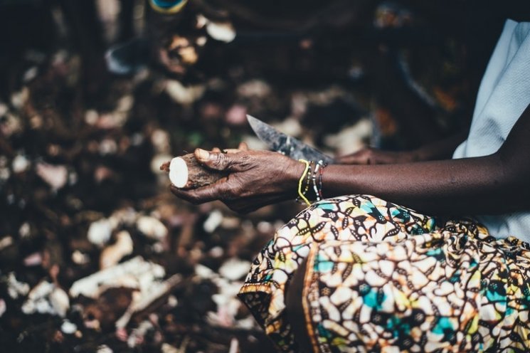 Singkong. (unsplash)