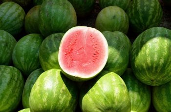 Konsumsi Semangka Bisa Sembuhkan Impotensi, Benarkah?