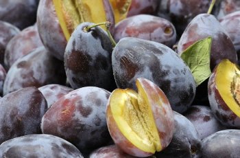 Manfaat Buah Plum yang Belum Banyak Diketahui Orang