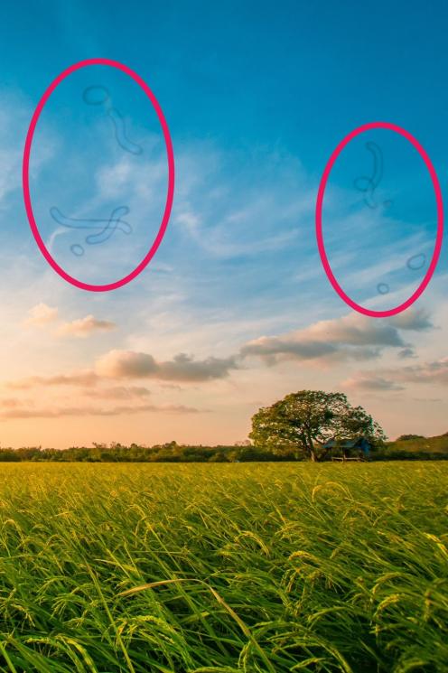 Titik-titik kecil dalam bidang penglihatan. (menshealth)