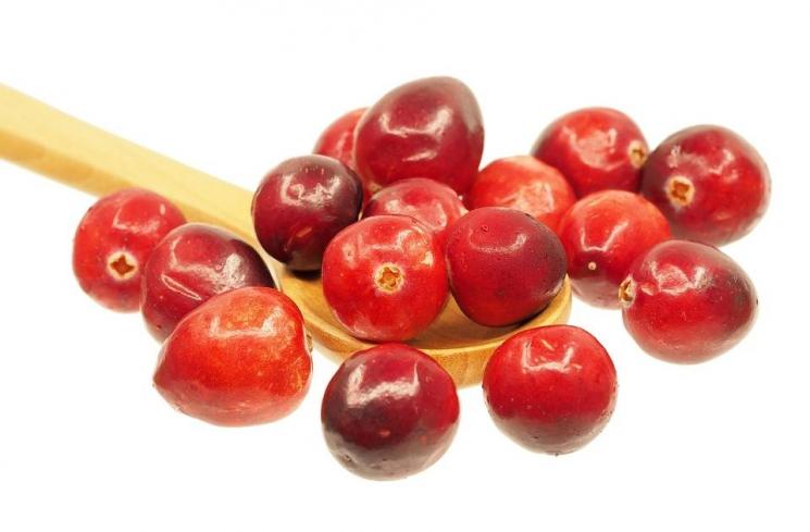 Cranberry. (pixabay/eak_kkk)