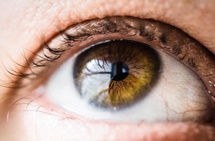 Ilustrasi. (Unsplash/@Vanessa Bumbeers)
