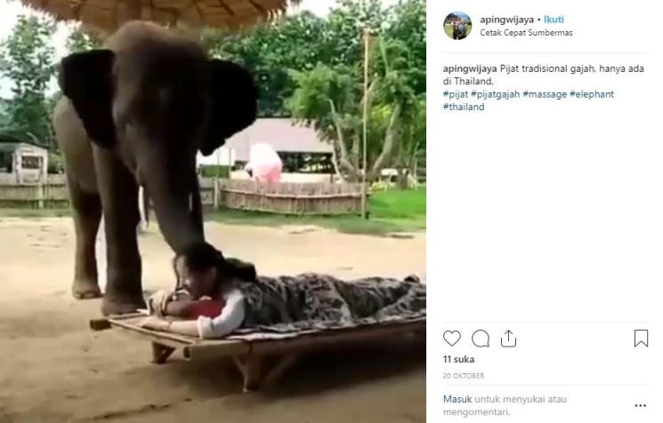 Terapi pijat gajah di Thailand. (Instagram/apingwijaya)