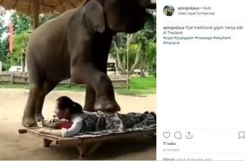 Agak Ekstrem, Inilah Manfaat Terapi Pijat Gajah Khas Thailand