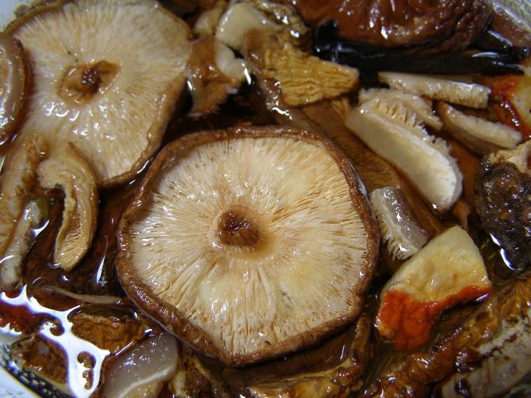 Jamur shitake. (pixabay/cmtsouthshoreroad)