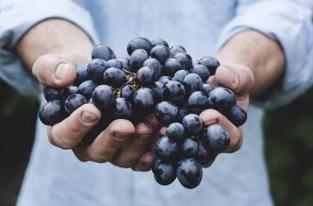 Manfaat Quercetin, Flavonoid yang Ada pada Buah Anggur
