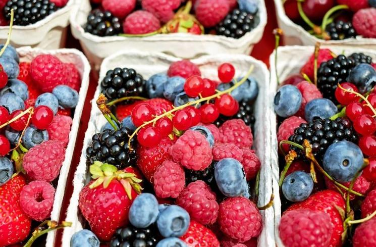 Berries. (Pixabay/Couleur)