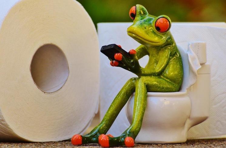 Ilustrasi super pooper - (Pixabay/Alexas_Fotos)