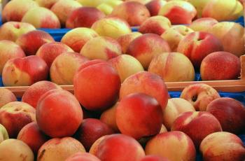 Waspada! Persik, Plum, dan Nektarin Ditarik karena Terkontaminasi Listeria