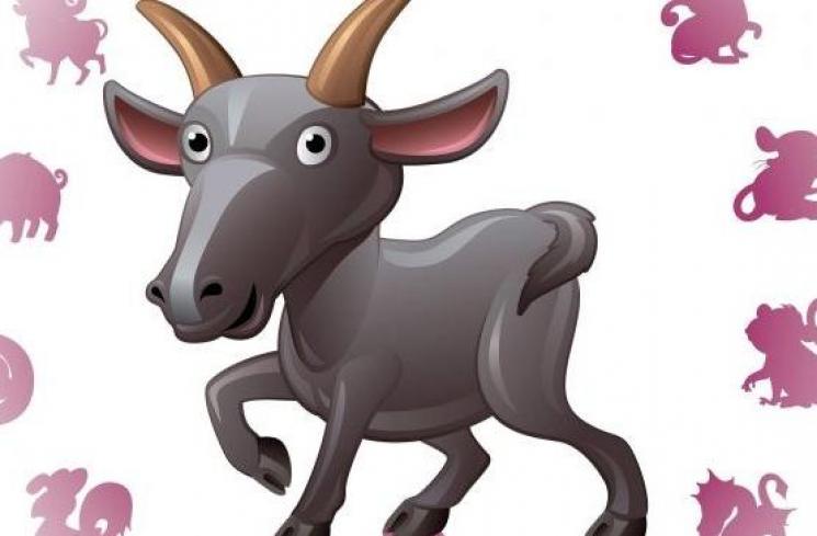 Tahun Babi Tanah 2019, Cek Prediksi Kesehatanmu berdasarkan Shio