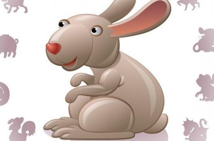 Shio kelinci. (Shutterstock)
