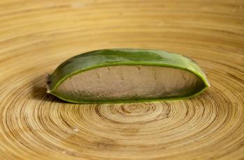 Kaya Manfaat, Lidah Buaya Ternyata Bisa Menimbulkan Efek Samping Lho!