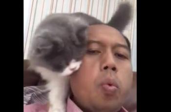 Selesai Kemoterapi, Sutopo Bagi Kebersamaan Bersama Kucingnya