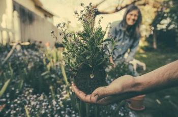 Hanya dengan Berkebun, Tingkat Depresi Akan Menurun karena Bakteri Tanah