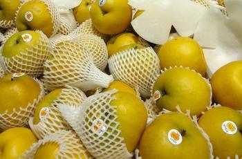 Letakkan Jaring Buah di Dalam Sepatu, Ampuh Hindari Masalah Bau Kaki