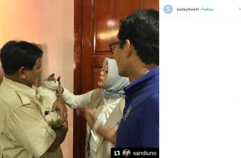Prabowo Punya Kucing Kesayangan, Ternyata Hewan Ini Bisa Baca Emosi Manusia