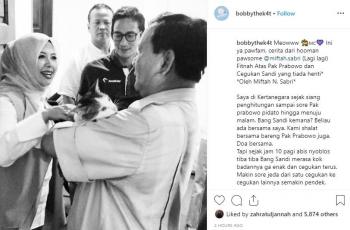 Suka Pelihara Kucing Seperti Prabowo? Ini Manfaatnya bagi Kesehatan