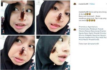 Heboh Tantangan Selfie Bareng Kecoa, Ternyata Bisa Picu Penyakit Serius
