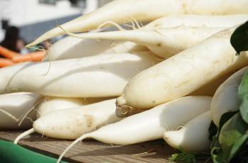 Rutin Makan Lobak Putih Tiap Hari, Ampuh Kontrol Darah Tinggi dan Diabetes