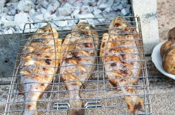 Rutin Makan Ikan Bakar Seminggu Sekali, Ini Manfaatnya pada Otak!