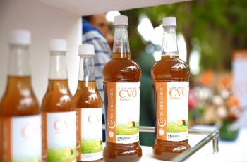 Diklaim jadi Obat Covid-19, Tonik Herbal Ini Justru Bikin Malaria Kebal!