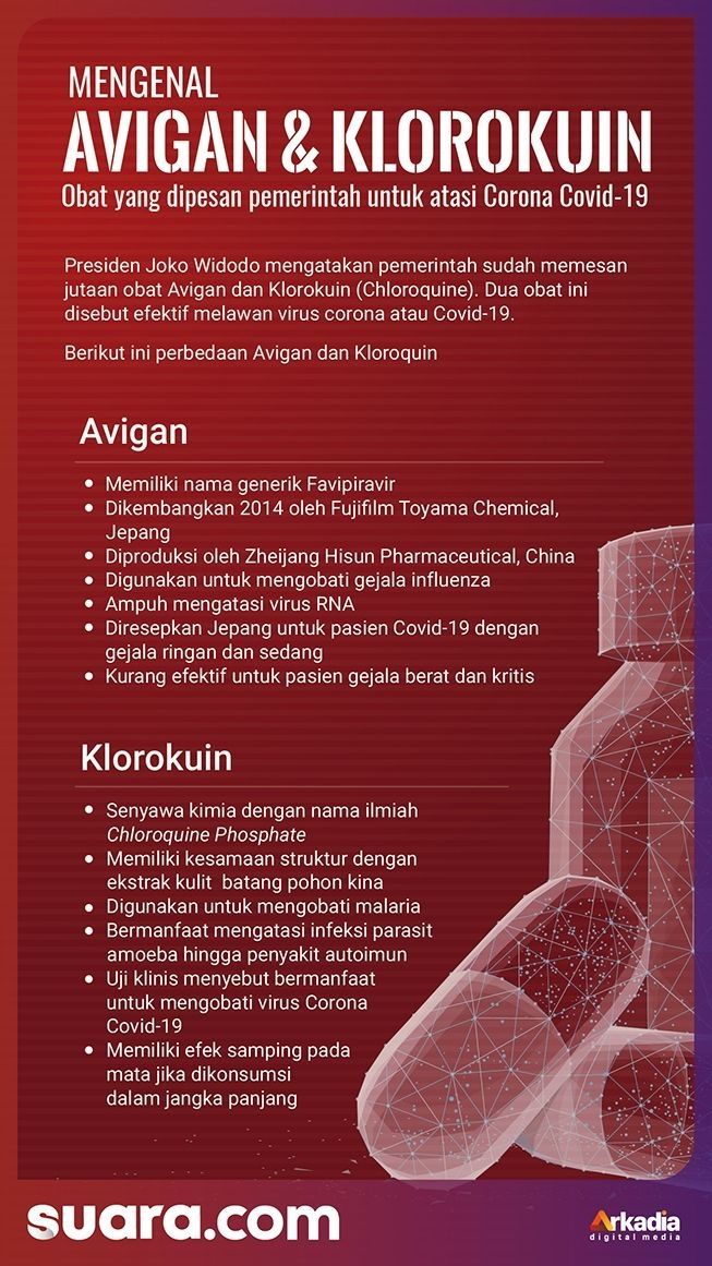 Infografis avigan dan klorokuin. (Dok. Suara)