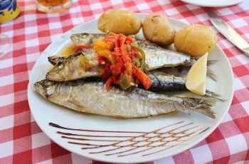 Ikan Sarden, Sumber Kalsium Selain Susu yang Baik untuk Kesehatan Tulang
